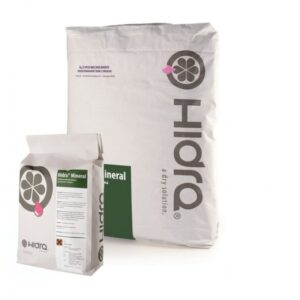 RasantecementizioHidraMineral(Saccoda5o25Kg)